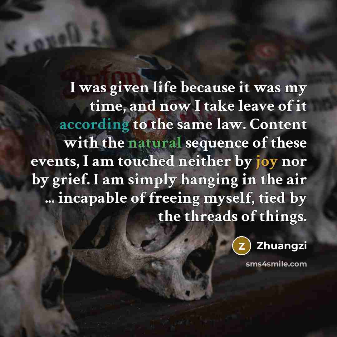 “I was given life because it was my time, and now I take leave of it according to the same law. Content with the natural sequence of these events, I am touched neither by joy nor by grief. I am simply hanging in the air ... incapable of freeing myself, tied by the threads of things.” quote by Zhuangzi