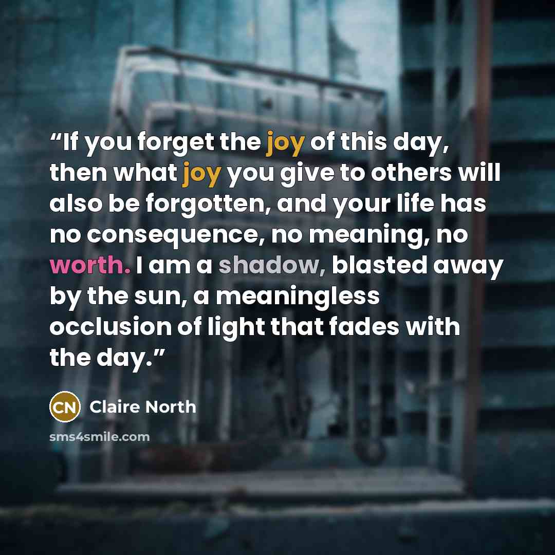 “If you forget the joy of this day, then what joy you give to others will also be forgotten, and your life has no consequence, no meaning, no worth. I am a shadow, blasted away by the sun, a meaningless occlusion of light that fades with the day.” quote by Claire North