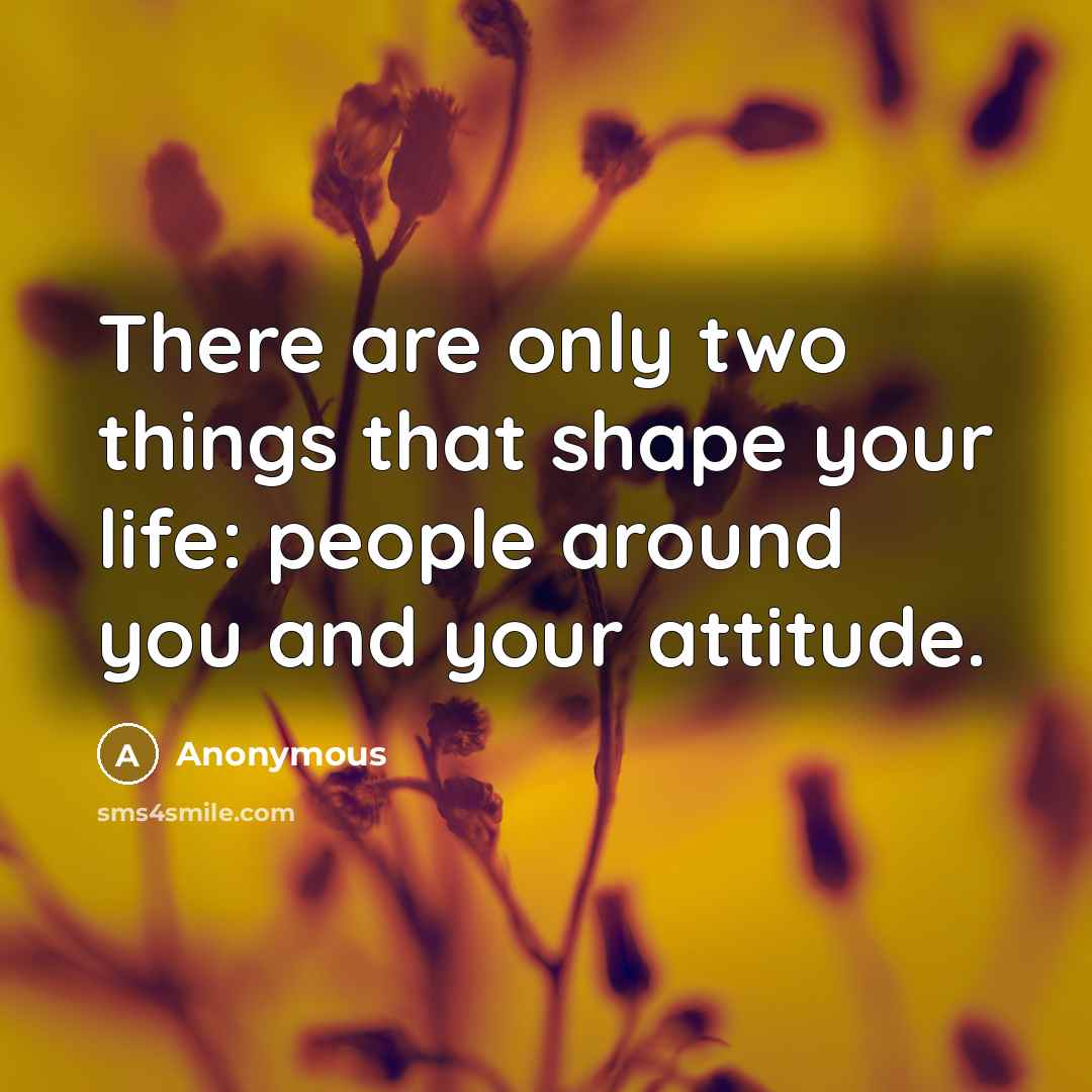 “There are only two things that shape your life: people around you and your attitude.” quote by Anonymous