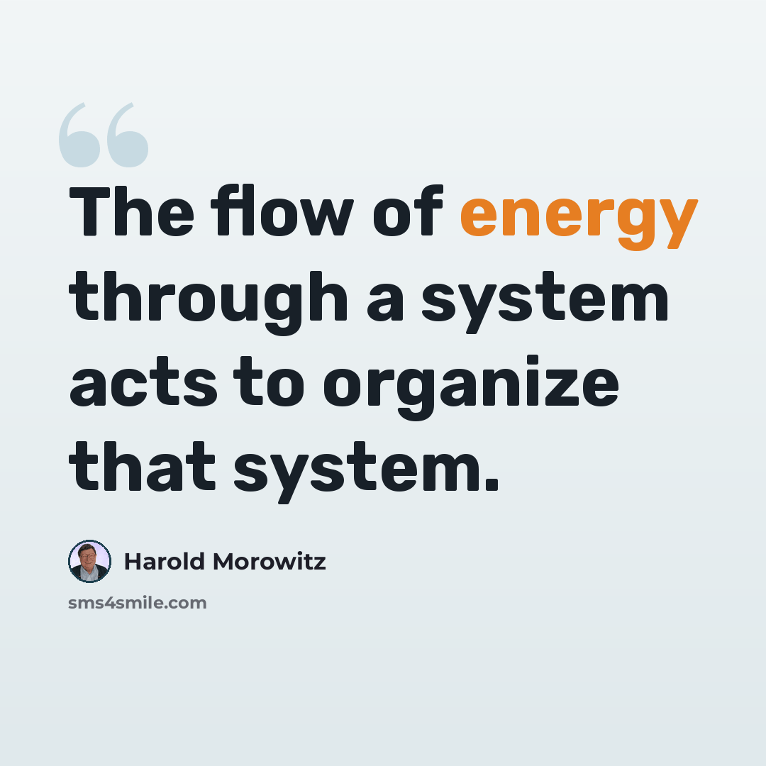 “The flow of energy through a system acts to organize that system.” quote by Harold Morowitz