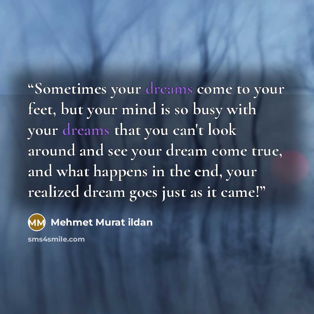 “Sometimes your dreams come to your feet, but your mind is so busy with your dreams that you can't look around and see your dream come true, and what happens in the end, your realized dream goes just as it came!” quote by Mehmet Murat ildan