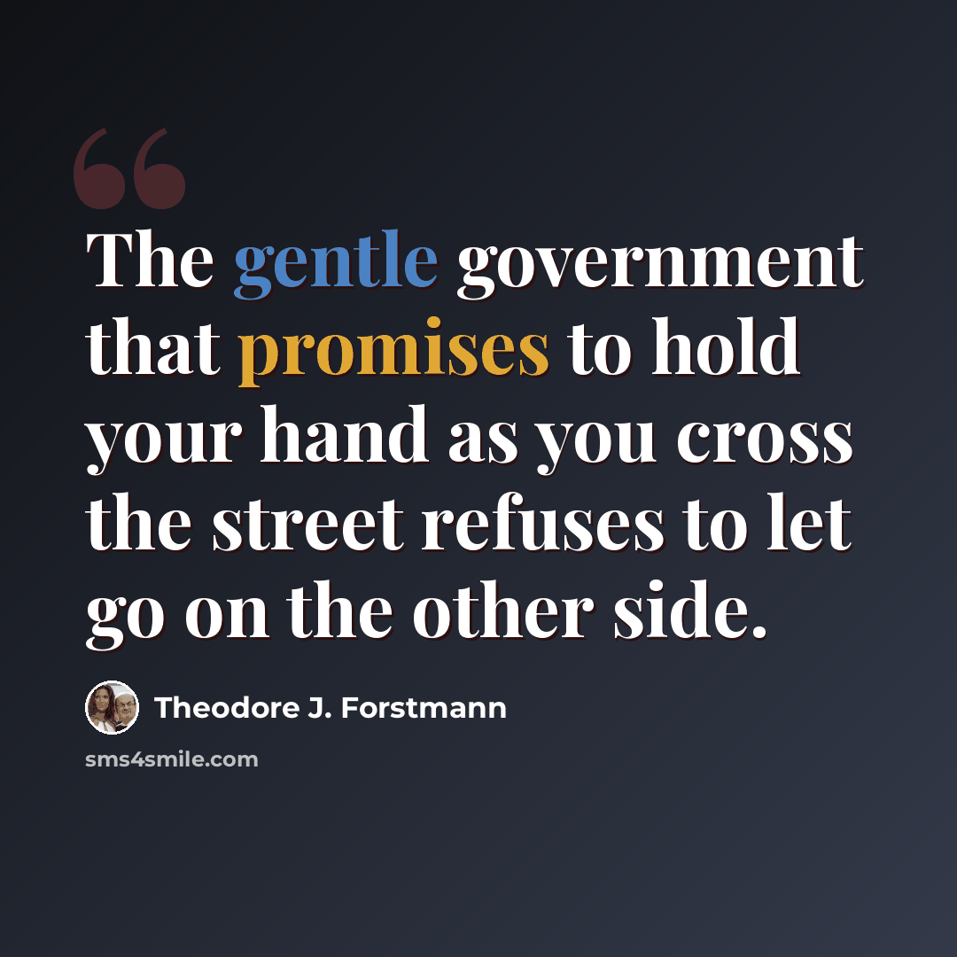 “The gentle government that promises to hold your hand as you cross the street refuses to let go on the other side.” quote by Theodore J. Forstmann