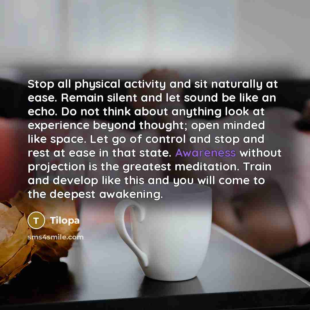 “Stop all physical activity and sit naturally at ease. Remain silent and let sound be like an echo. Do not think about anything look at experience beyond thought; open minded like space. Let go of control and stop and rest at ease in that state. Awareness without projection is the greatest…” quote by Tilopa