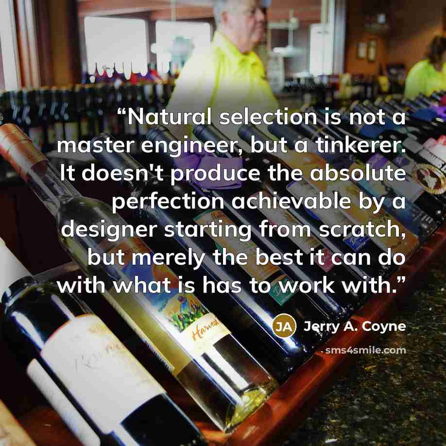 “Natural selection is not a master engineer, but a tinkerer. It doesn't produce the absolute perfection achievable by a designer starting from scratch, but merely the best it can do with what is has to work with.” quote by Jerry A. Coyne