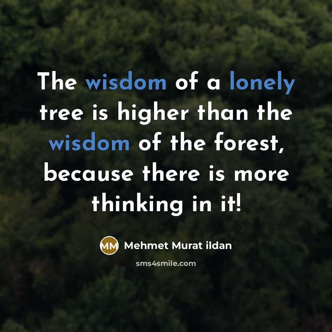“The wisdom of a lonely tree is higher than the wisdom of the forest, because there is more thinking in it!” quote by Mehmet Murat Ildan