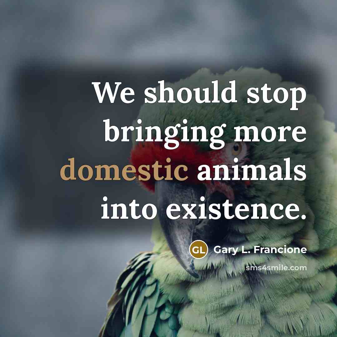 “We should stop bringing more domestic animals into existence.” quote by Gary L. Francione