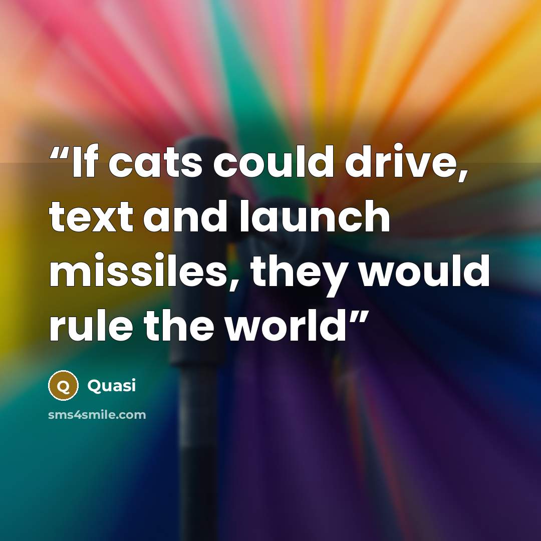 “If cats could drive, text and launch missiles, they would rule the world” quote by Quasi