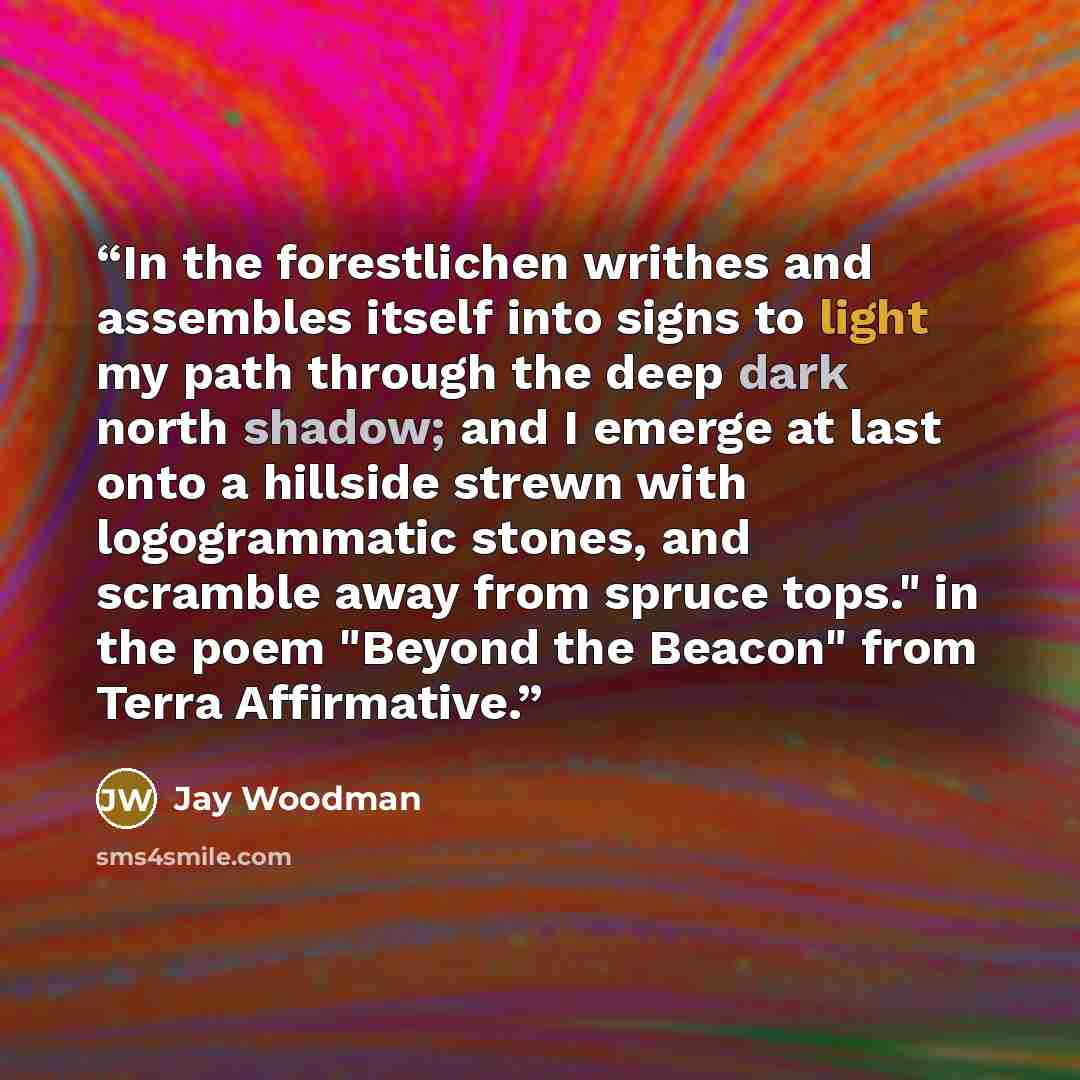 “In the forestlichen writhes and assembles itself into signs to light my path through the deep dark north shadow; and I emerge at last onto a hillside strewn with logogrammatic stones, and scramble away from spruce tops." in the poem "Beyond the Beacon" from Terra Affirmative.” quote by Jay Woodman