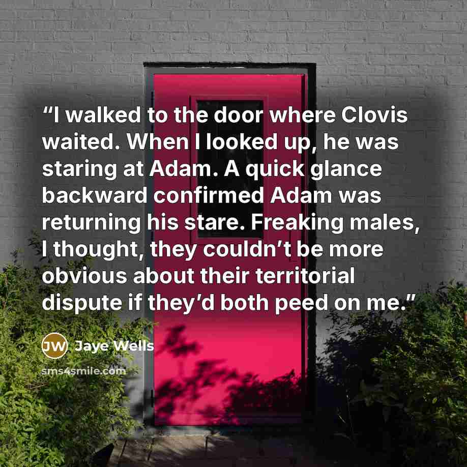 “I walked to the door where Clovis waited. When I looked up, he was staring at Adam. A quick glance backward confirmed Adam was returning his stare. Freaking males, I thought, they couldn’t be more obvious about their territorial dispute if they’d both peed on me.” quote by Jaye Wells