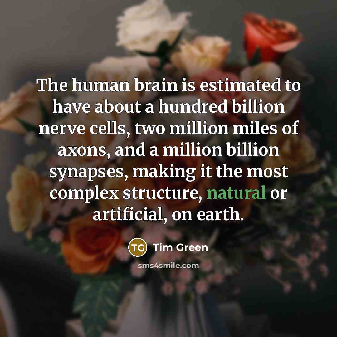 “The human brain is estimated to have about a hundred billion nerve cells, two million miles of axons, and a million billion synapses, making it the most complex structure, natural or artificial, on earth.” quote by Tim Green