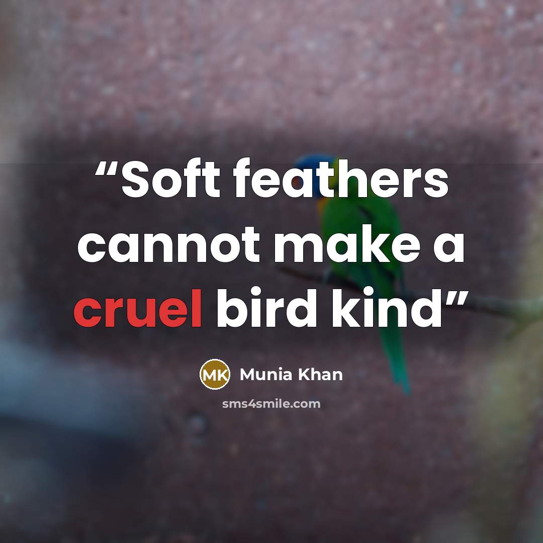 “Soft feathers cannot make a cruel bird kind” quote by Munia Khan