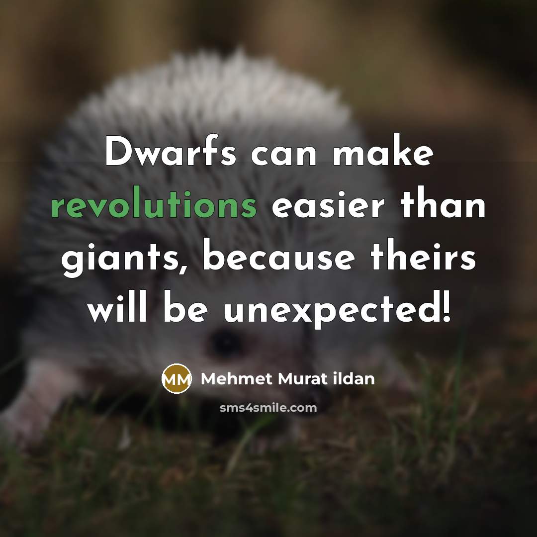 “Dwarfs can make revolutions easier than giants, because theirs will be unexpected!” quote by Mehmet Murat Ildan