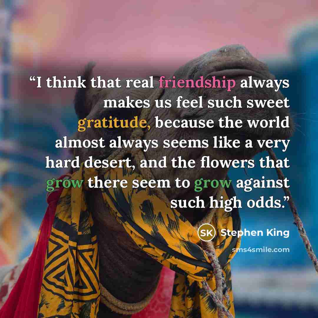 “I think that real friendship always makes us feel such sweet gratitude, because the world almost always seems like a very hard desert, and the flowers that grow there seem to grow against such high odds.” quote by Stephen King