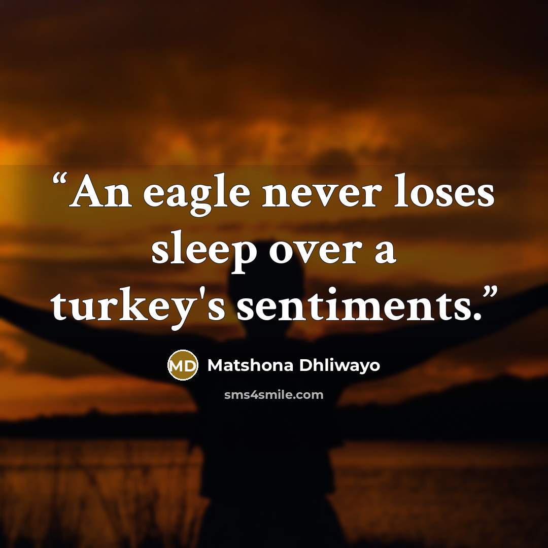 “An eagle never loses sleep over a turkey's sentiments.” quote by Matshona Dhliwayo