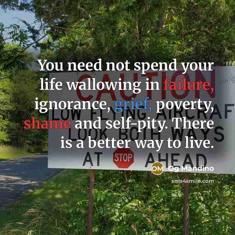 “You need not spend your life wallowing in failure, ignorance, grief, poverty, shame and self-pity. There is a better way to live.” quote by Og Mandino