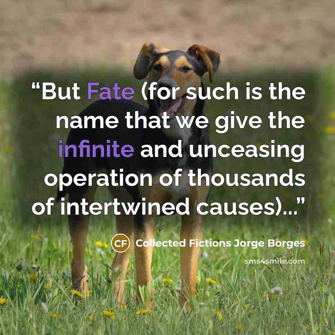 “But Fate (for such is the name that we give the infinite and unceasing operation of thousands of intertwined causes)...” quote by Collected Fictions Jorge Borges