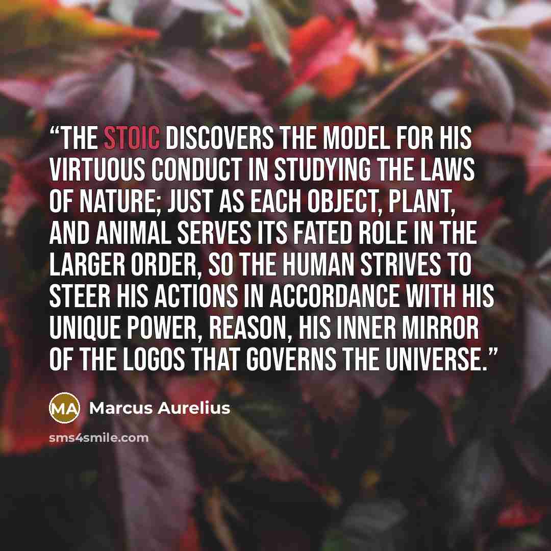 “The Stoic discovers the model for his virtuous conduct in studying the laws of nature; just as each object, plant, and animal serves its fated role in the larger order, so the human strives to steer his actions in accordance with his unique power, reason, his inner mirror of the logos that governs…” quote by Marcus Aurelius
