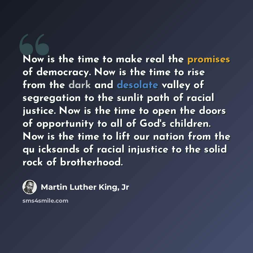 “Now is the time to make real the promises of democracy. Now is the time to rise from the dark and desolate valley of segregation to the sunlit path of racial justice. Now is the time to open the doors of opportunity to all of God's children. Now is the time to lift our nation from the qu icksands…” quote by Martin Luther King, Jr