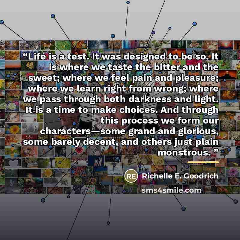 “Life is a test. It was designed to be so. It is where we taste the bitter and the sweet; where we feel pain and pleasure; where we learn right from wrong; where we pass through both darkness and light. It is a time to make choices. And through this process we form our characters—some grand and…” quote by Richelle E. Goodrich