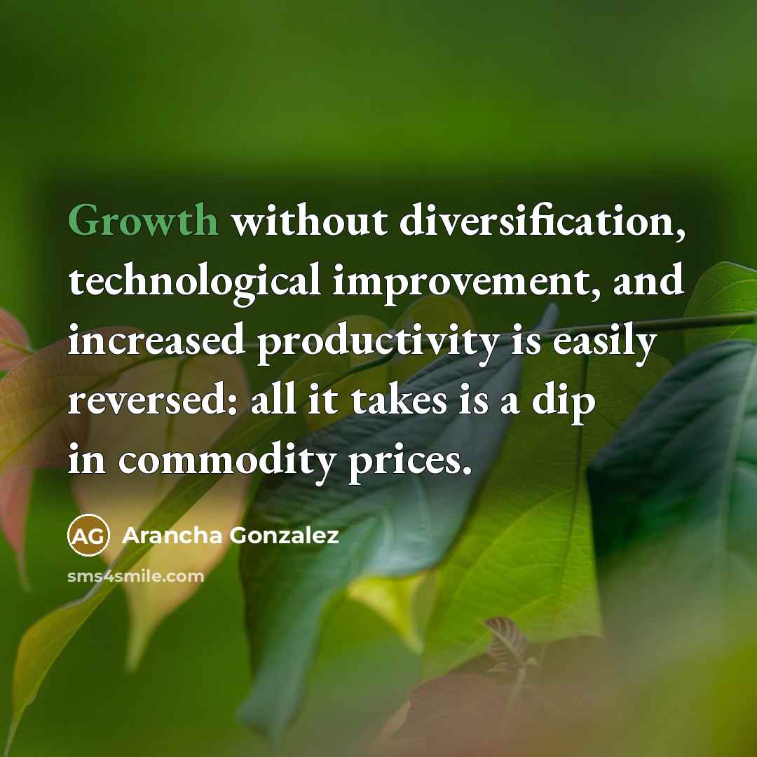“Growth without diversification, technological improvement, and increased productivity is easily reversed: all it takes is a dip in commodity prices.” quote by Arancha Gonzalez