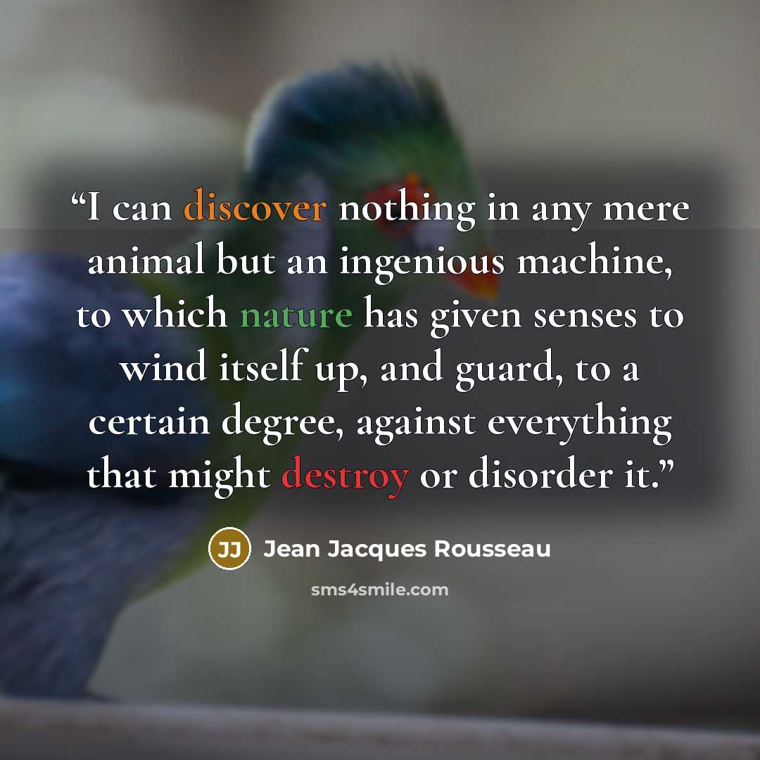 “I can discover nothing in any mere animal but an ingenious machine, to which nature has given senses to wind itself up, and guard, to a certain degree, against everything that might destroy or disorder it.” quote by Jean Jacques Rousseau