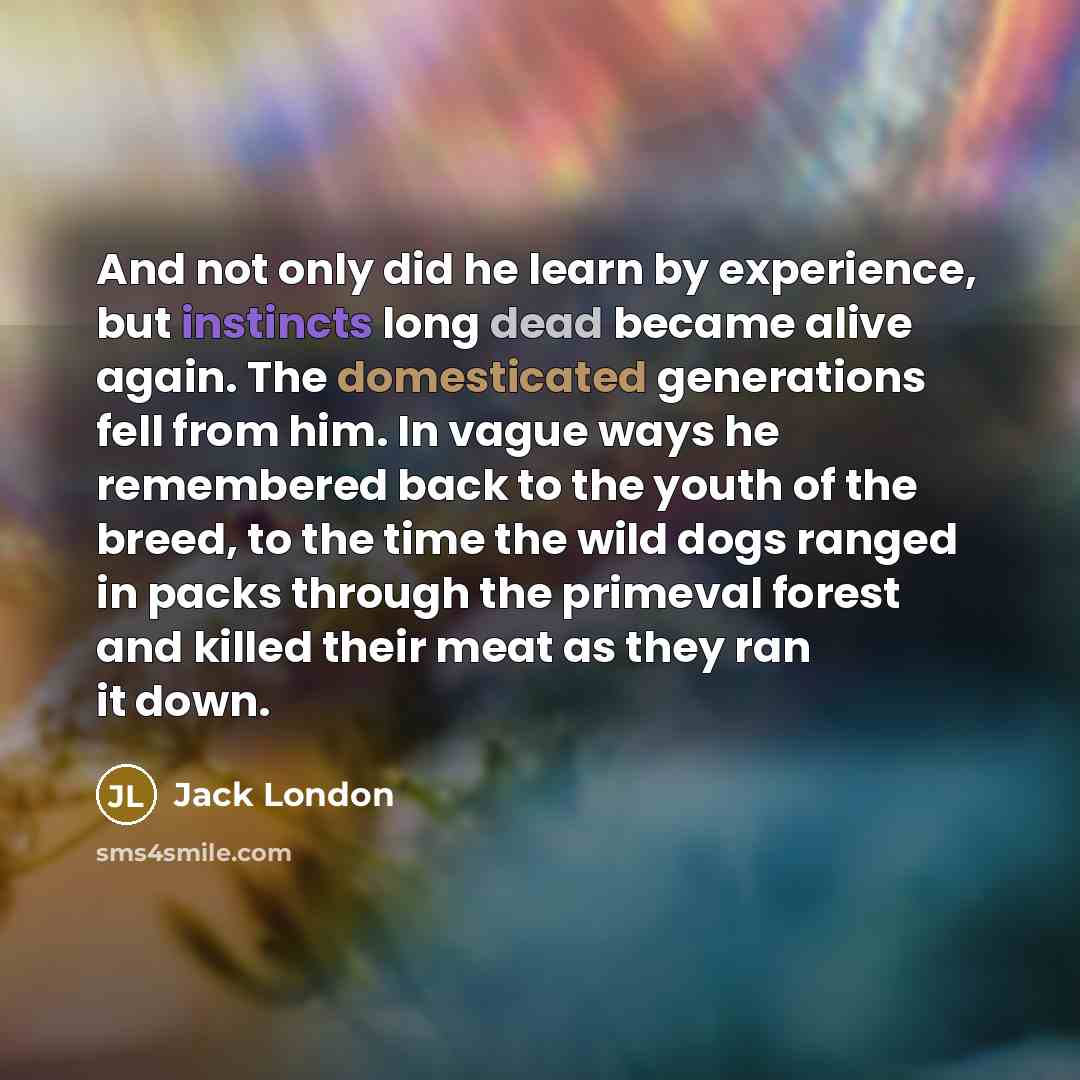 “And not only did he learn by experience, but instincts long dead became alive again. The domesticated generations fell from him. In vague ways he remembered back to the youth of the breed, to the time the wild dogs ranged in packs through the primeval forest and killed their meat as they ran it…” quote by Jack London