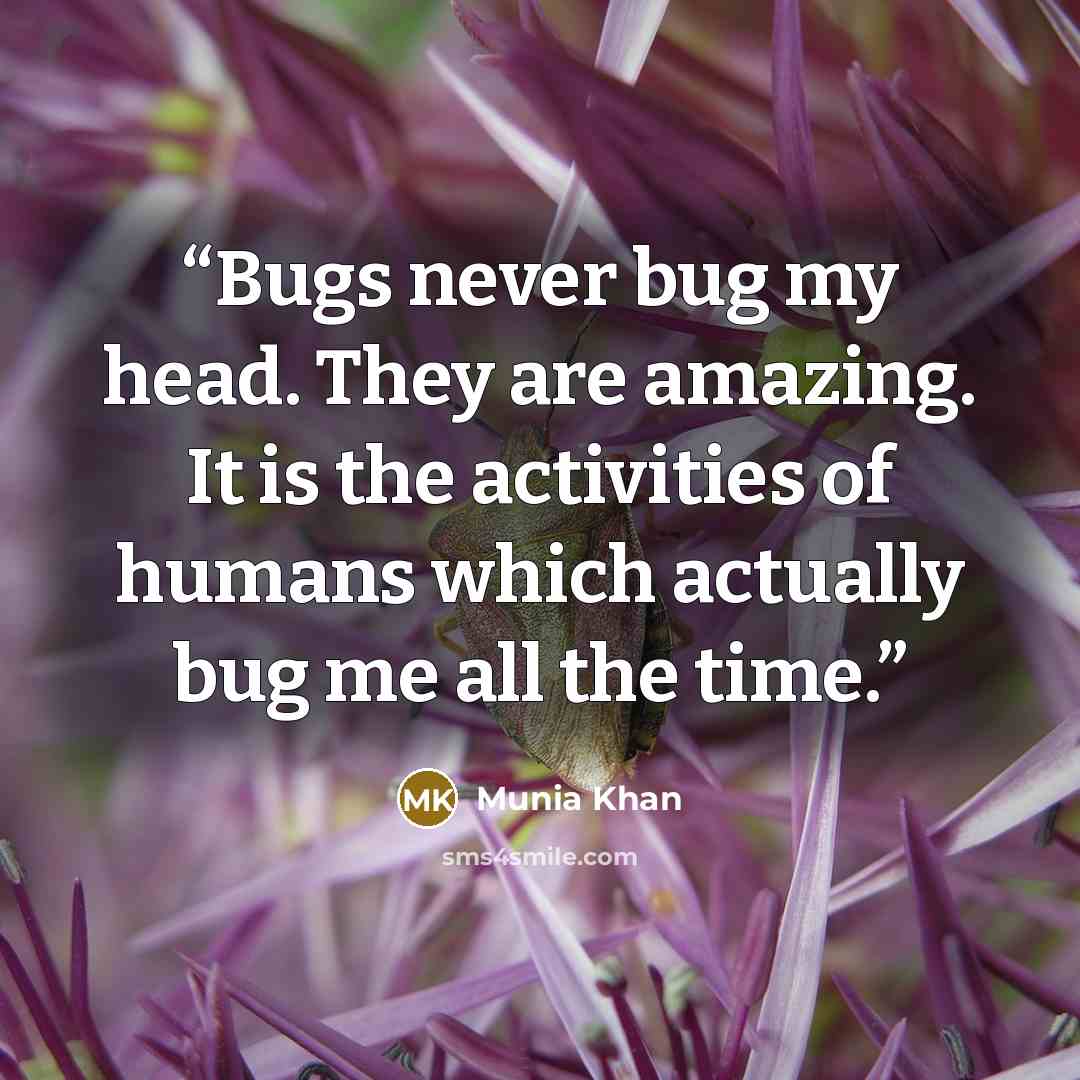 “Bugs never bug my head. They are amazing. It is the activities of humans which actually bug me all the time.” quote by Munia Khan