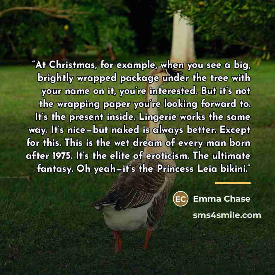 “At Christmas, for example, when you see a big, brightly wrapped package under the tree with your name on it, you’re interested. But it’s not the wrapping paper you’re looking forward to. It’s the present inside. Lingerie works the same way. It’s nice—but naked is always better. Except for this…” quote by Emma Chase