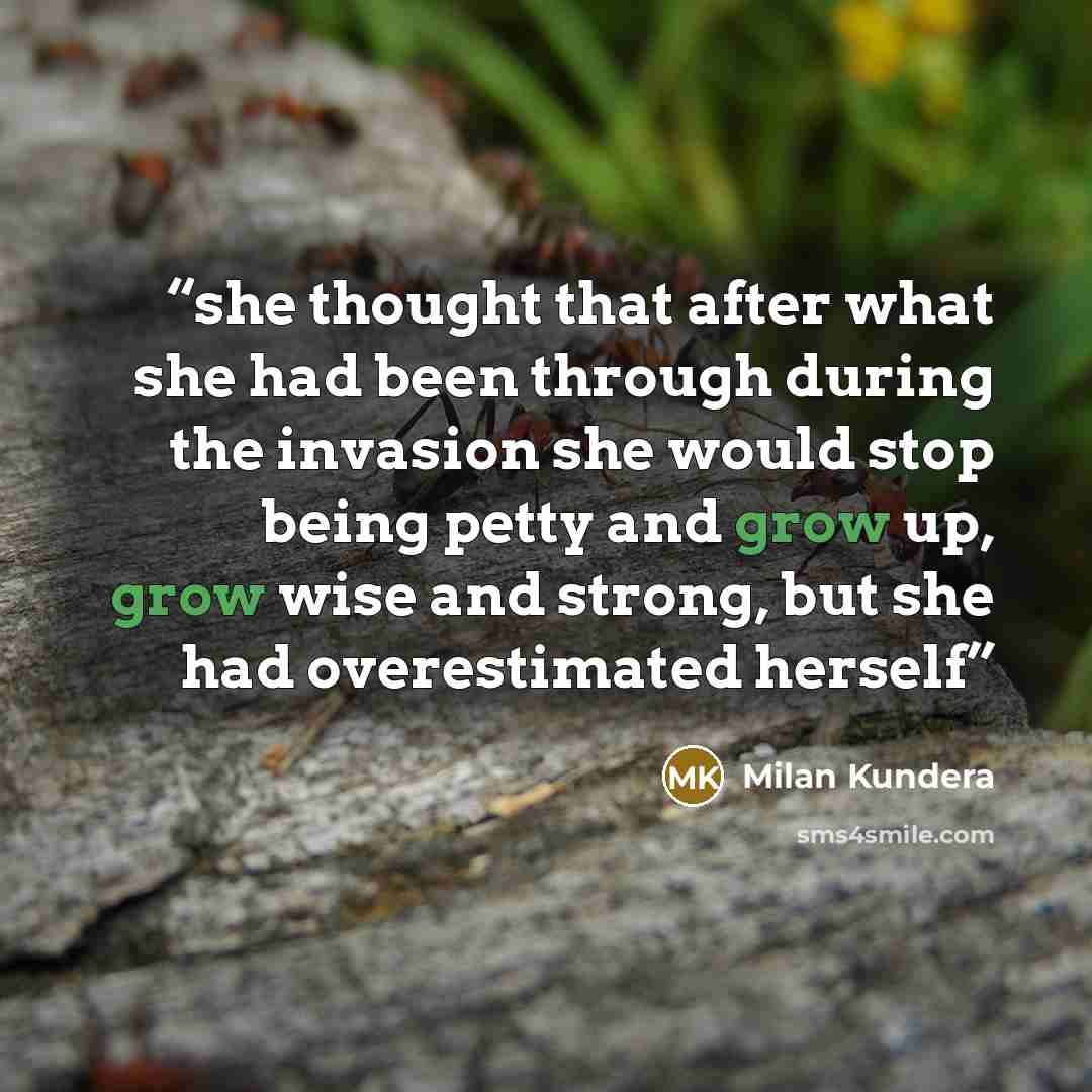 “she thought that after what she had been through during the invasion she would stop being petty and grow up, grow wise and strong, but she had overestimated herself” quote by Milan Kundera