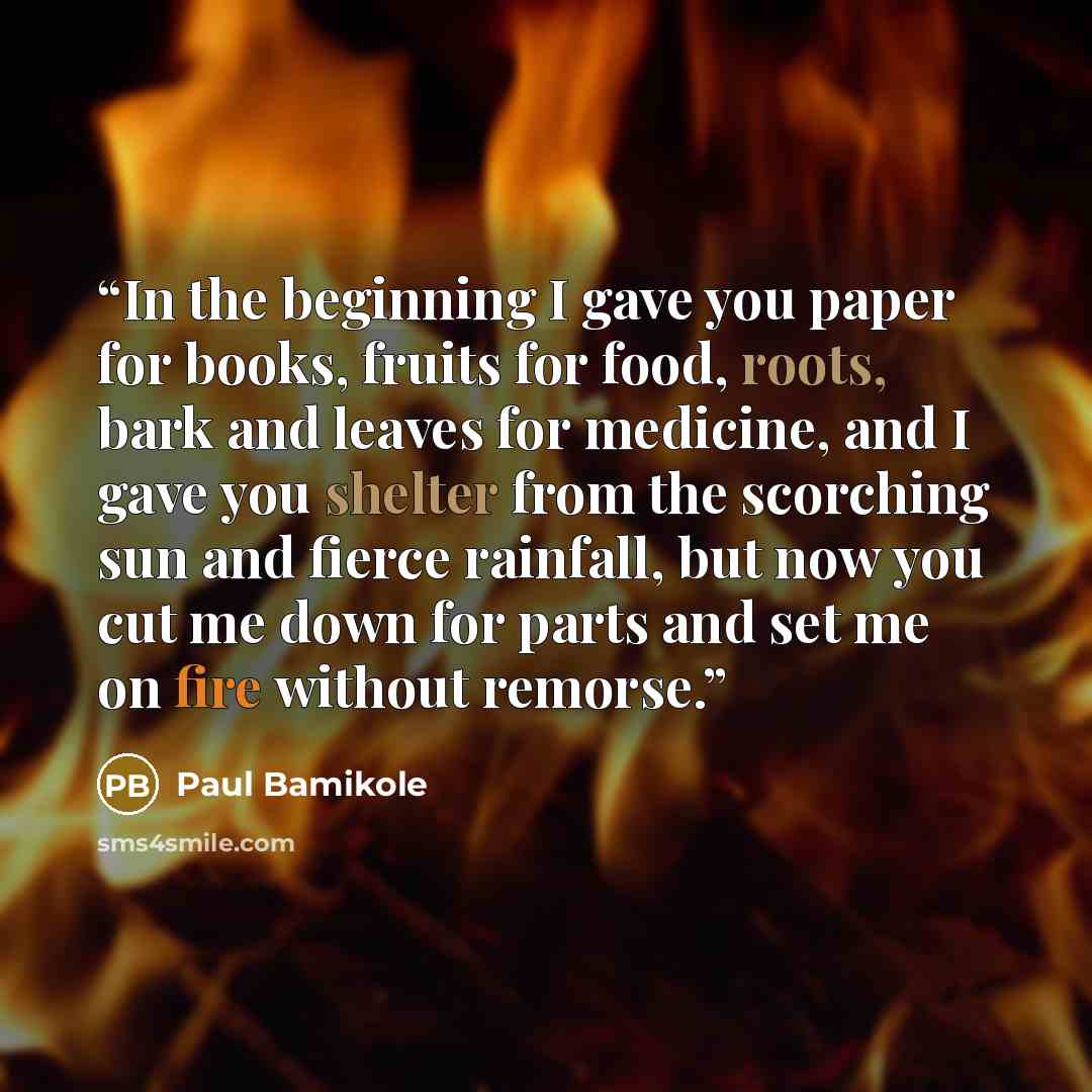 “In the beginning I gave you paper for books, fruits for food, roots, bark and leaves for medicine, and I gave you shelter from the scorching sun and fierce rainfall, but now you cut me down for parts and set me on fire without remorse.” quote by Paul Bamikole