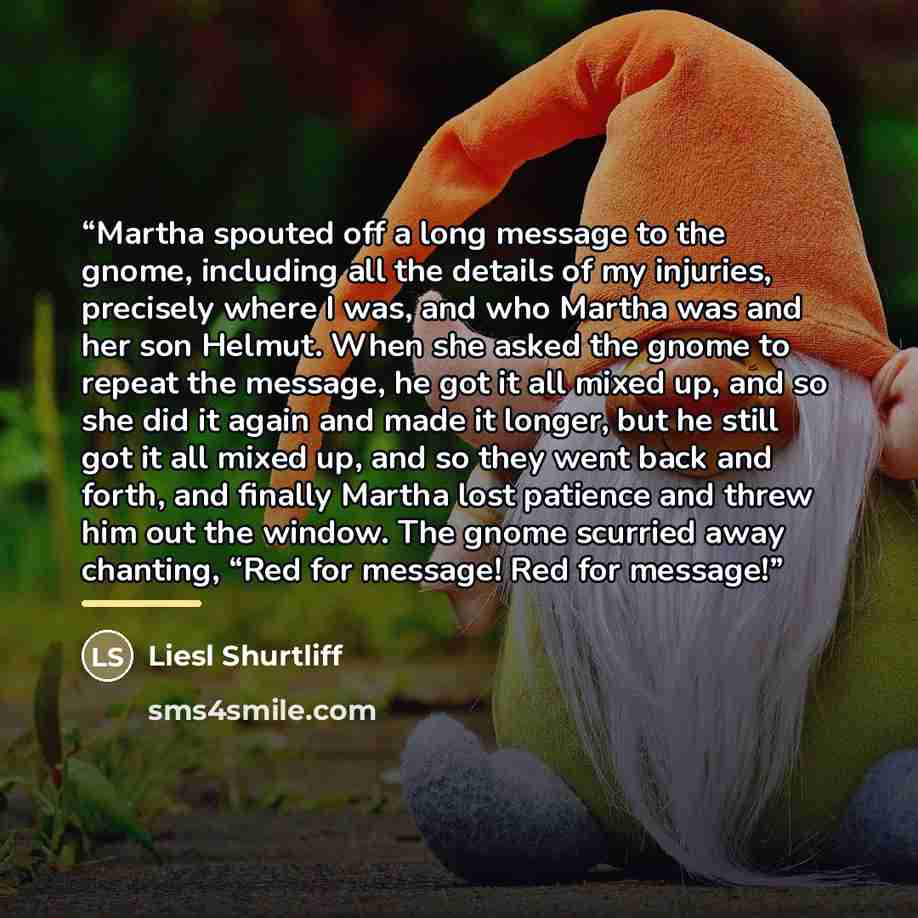 “Martha spouted off a long message to the gnome, including all the details of my injuries, precisely where I was, and who Martha was and her son Helmut. When she asked the gnome to repeat the message, he got it all mixed up, and so she did it again and made it longer, but he still got it all mixed…” quote by Liesl Shurtliff