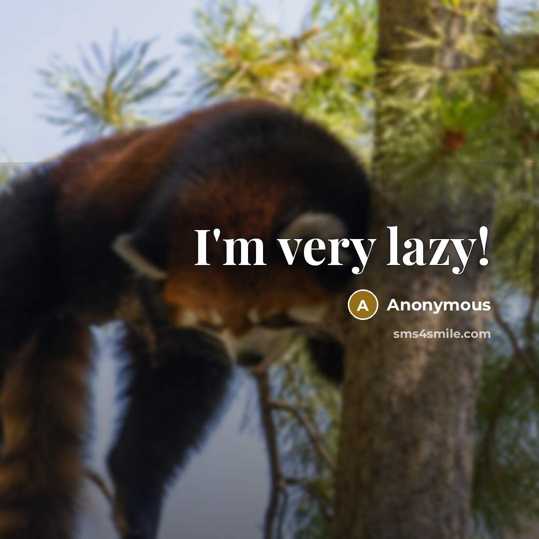 “I'm very lazy!” quote by Anonymous