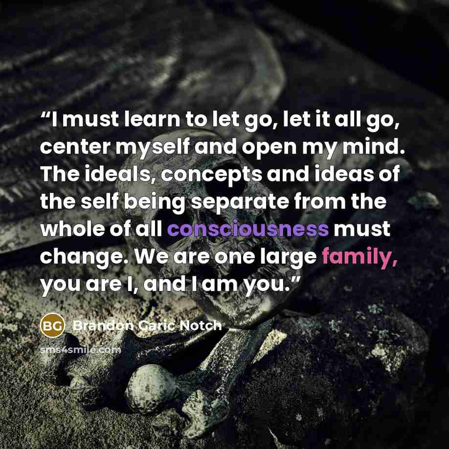 “I must learn to let go, let it all go, center myself and open my mind. The ideals, concepts and ideas of the self being separate from the whole of all consciousness must change. We are one large family, you are I, and I am you.” quote by Brandon Garic Notch