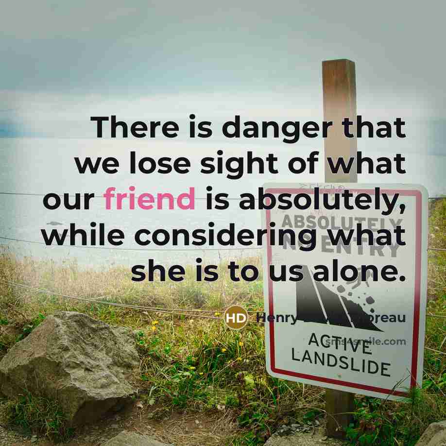 “There is danger that we lose sight of what our friend is absolutely, while considering what she is to us alone.” quote by Henry David Thoreau