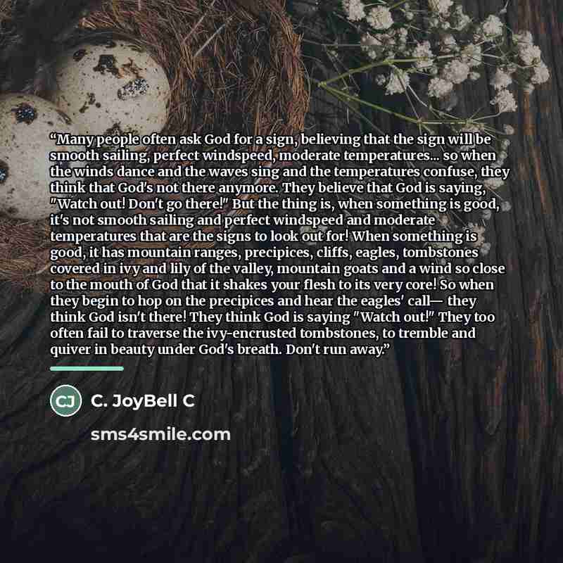 “Many people often ask God for a sign, believing that the sign will be smooth sailing, perfect windspeed, moderate temperatures... so when the winds dance and the waves sing and the temperatures confuse, they think that God's not there anymore. They believe that God is saying, "Watch out! Don't go…” quote by C. JoyBell C