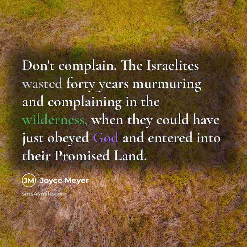 “Don't complain. The Israelites wasted forty years murmuring and complaining in the wilderness, when they could have just obeyed God and entered into their Promised Land.” quote by Joyce Meyer