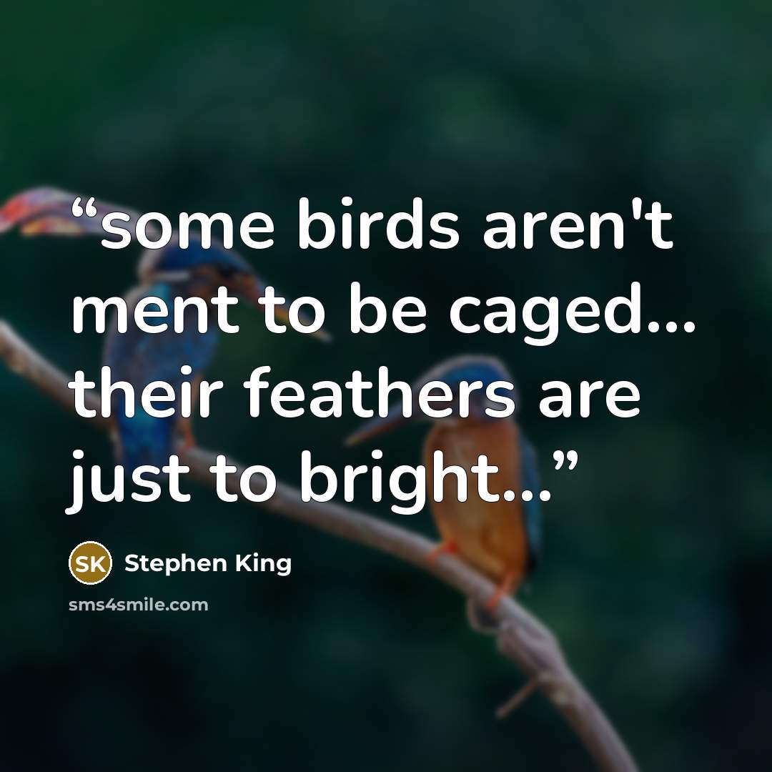 “some birds aren't ment to be caged... their feathers are just to bright…” quote by Stephen King