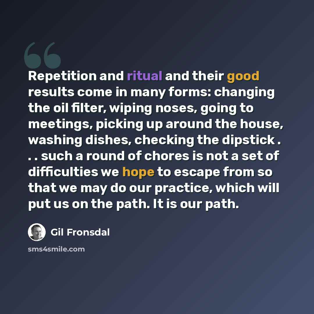 “Repetition and ritual and their good results come in many forms: changing the oil filter, wiping noses, going to meetings, picking up around the house, washing dishes, checking the dipstick . . . such a round of chores is not a set of difficulties we hope to escape from so that we may do our…” quote by Gil Fronsdal