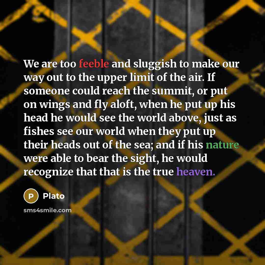 “We are too feeble and sluggish to make our way out to the upper limit of the air. If someone could reach the summit, or put on wings and fly aloft, when he put up his head he would see the world above, just as fishes see our world when they put up their heads out of the sea; and if his nature were…” quote by Plato