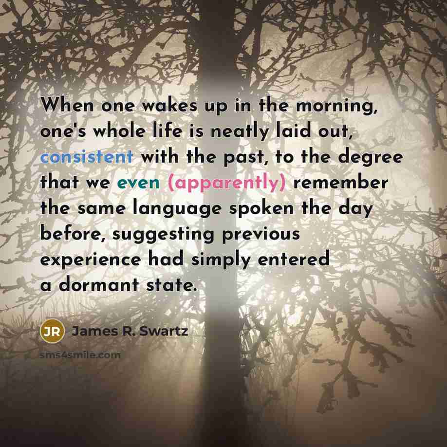 “When one wakes up in the morning, one's whole life is neatly laid out, consistent with the past, to the degree that we even (apparently) remember the same language spoken the day before, suggesting previous experience had simply entered a dormant state.” quote by James R. Swartz