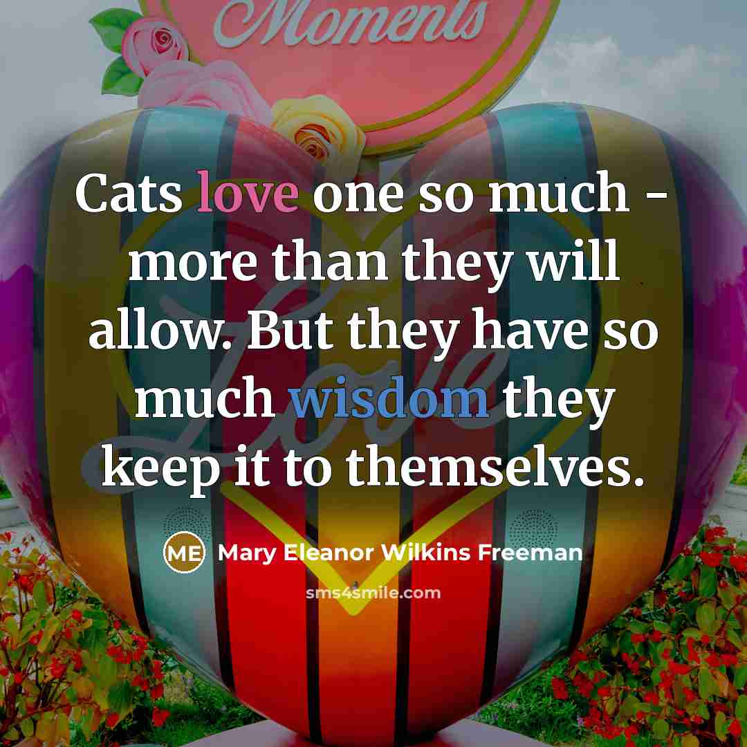 “Cats love one so much - more than they will allow. But they have so much wisdom they keep it to themselves.” quote by Mary Eleanor Wilkins Freeman