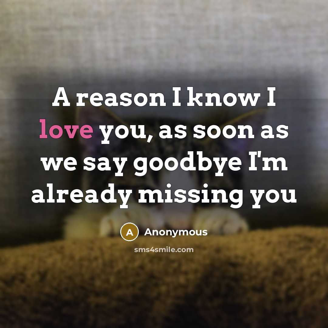 “A reason I know I love you, as soon as we say goodbye I'm already missing you” quote by Anonymous