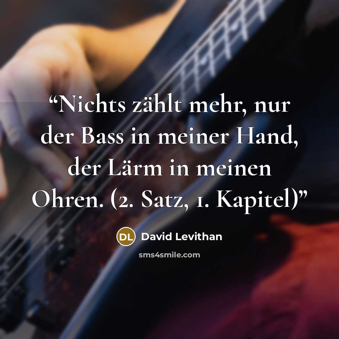 “Nichts zählt mehr, nur der Bass in meiner Hand, der Lärm in meinen Ohren. (2. Satz, 1. Kapitel)” quote by David Levithan