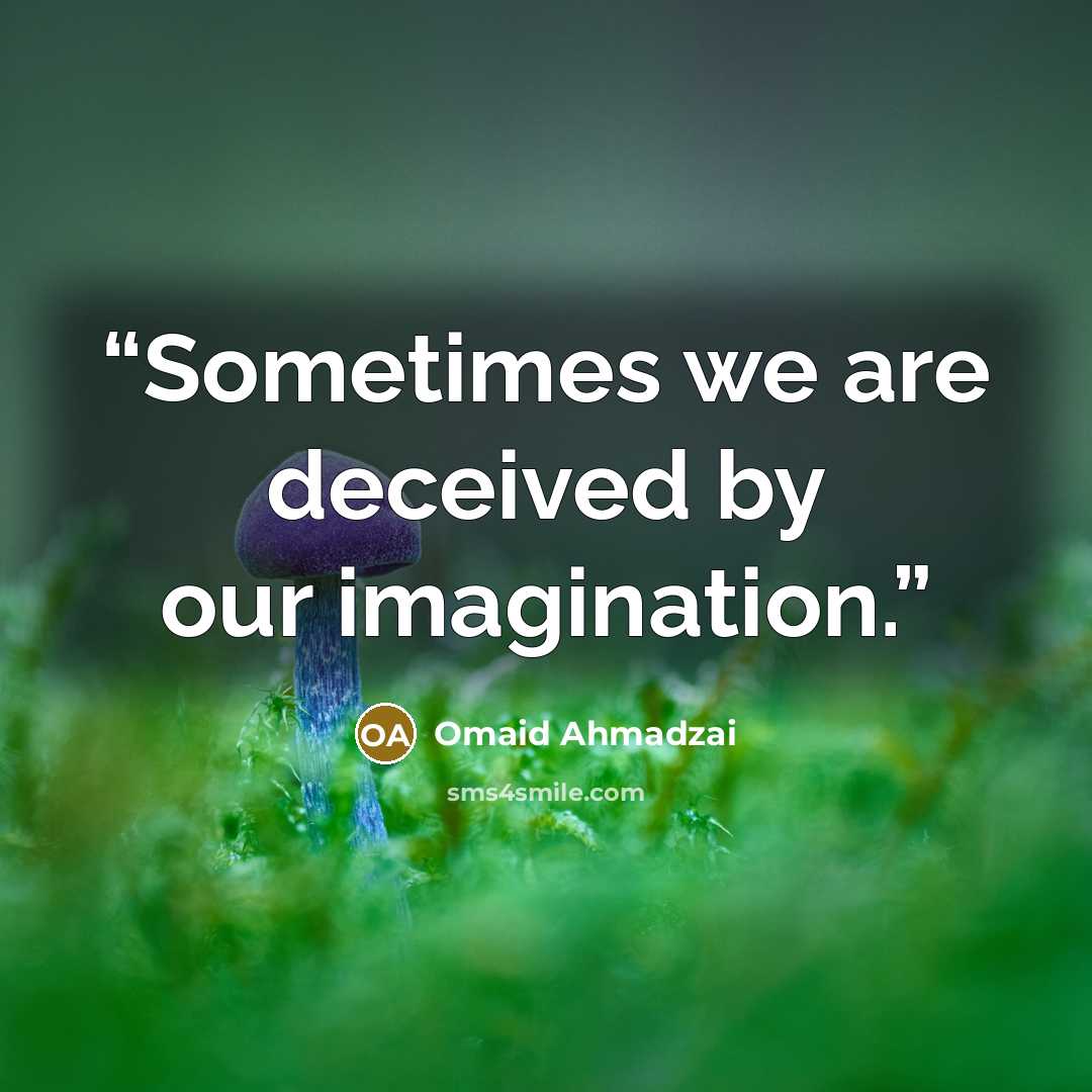 “Sometimes we are deceived by our imagination.” quote by Omaid Ahmadzai