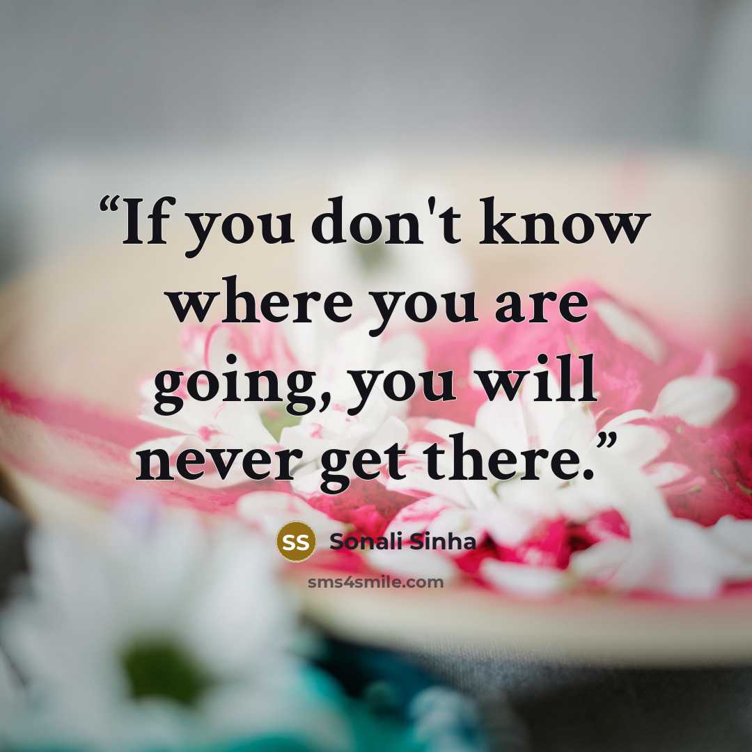 “If you don't know where you are going, you will never get there.” quote by Sonali Sinha