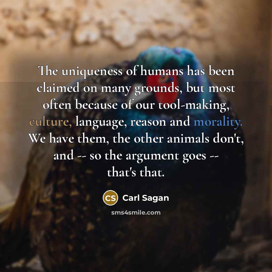 “The uniqueness of humans has been claimed on many grounds, but most often because of our tool-making, culture, language, reason and morality. We have them, the other animals don't, and -- so the argument goes -- that's that.” quote by Carl Sagan