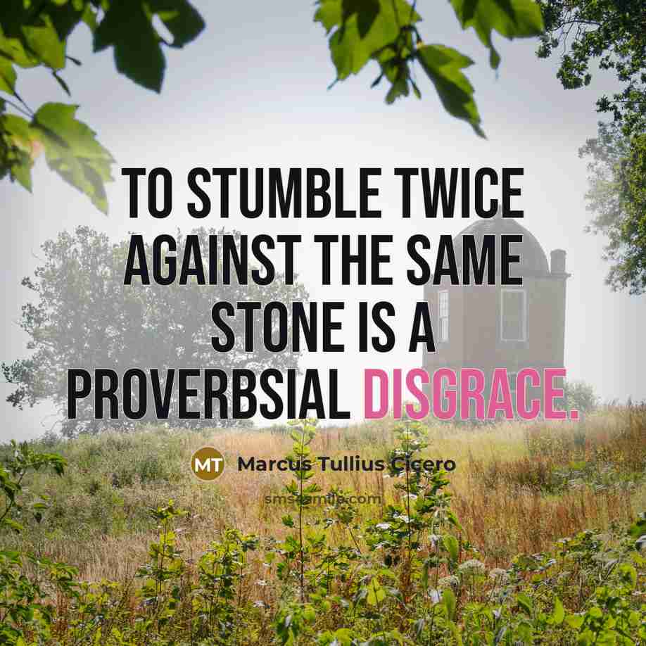 “To stumble twice against the same stone is a Proverbsial disgrace.” quote by Marcus Tullius Cicero