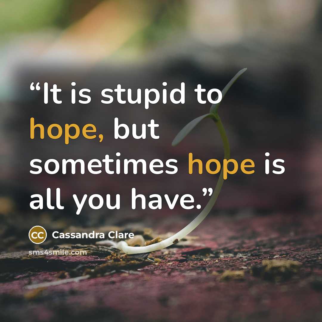 “It is stupid to hope, but sometimes hope is all you have.” quote by Cassandra Clare