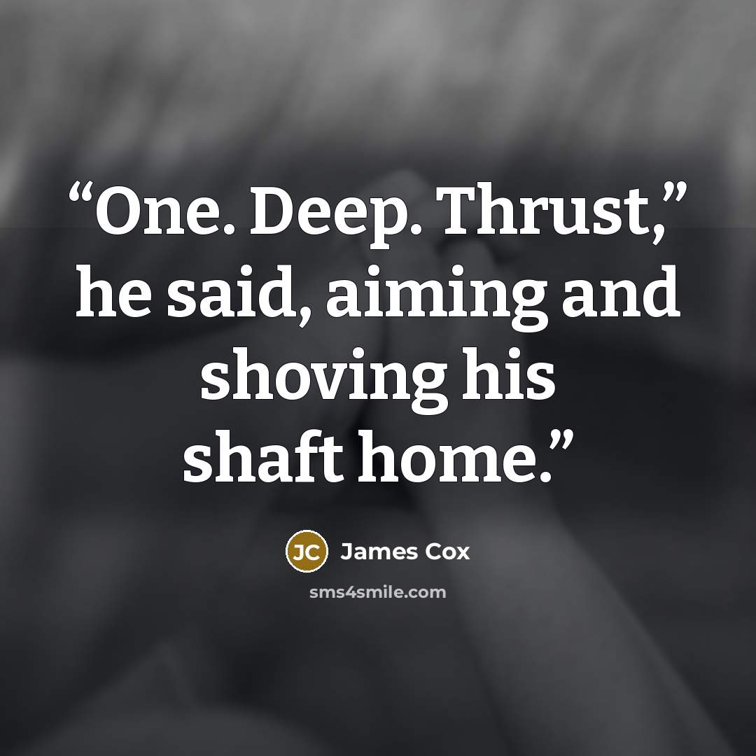 “One. Deep. Thrust,” he said, aiming and shoving his shaft home.” quote by James Cox