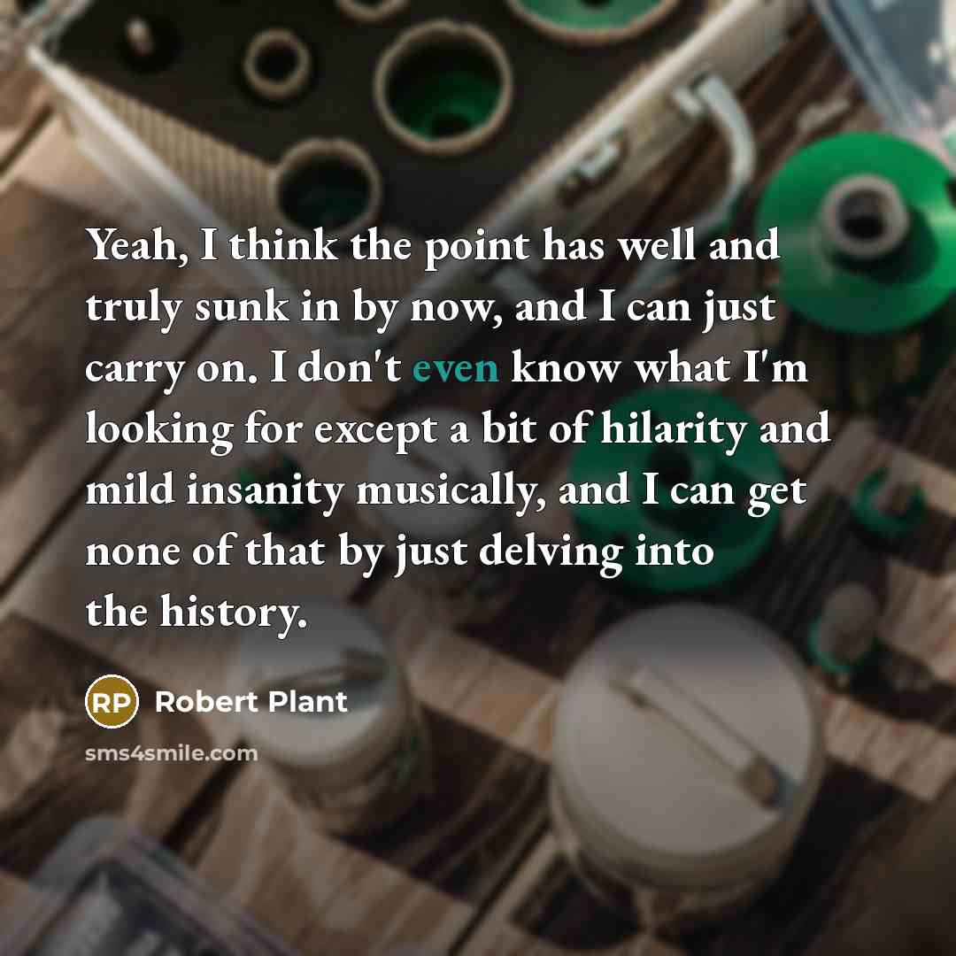 “Yeah, I think the point has well and truly sunk in by now, and I can just carry on. I don't even know what I'm looking for except a bit of hilarity and mild insanity musically, and I can get none of that by just delving into the history.” quote by Robert Plant